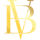 brand-vision-logo