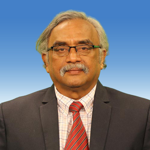 Ramesh Krishnan